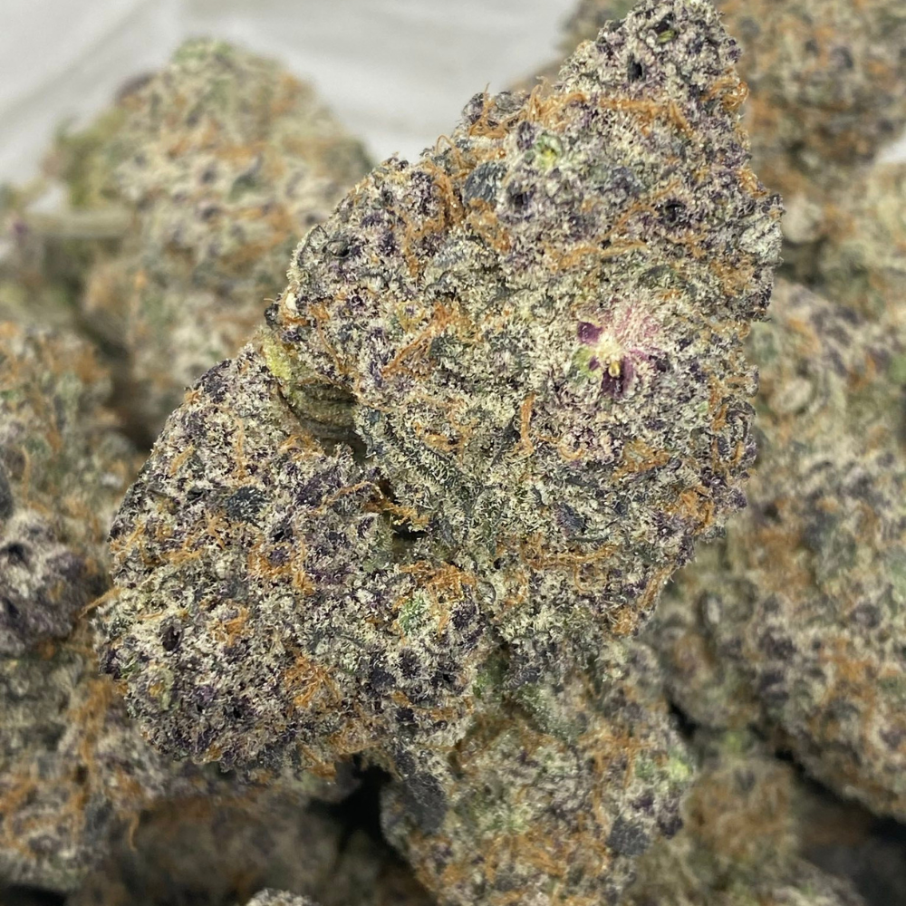 COLD CREEK TROPICANA (EXOTIC)