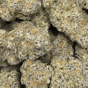 COLD CREEK TROPICANA (EXOTIC) - Image 3