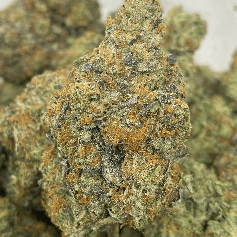 Death bubba