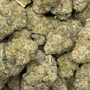 DO-SI-DOS (EXOTIC) - Image 2