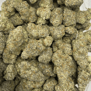 DREAM FACTORY (EXOTIC) (DEAL OF THE WEEK) - Image 3