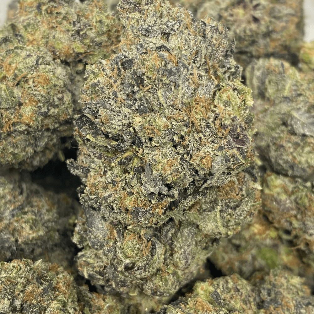 EDMONTON OIL