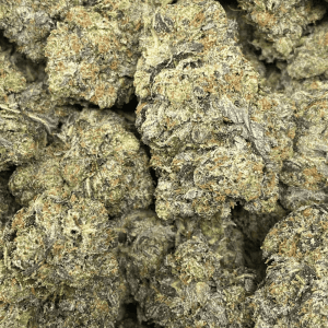 EDMONTON OIL (MEGA GAS) - Image 2