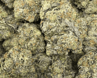 EDMONTON OIL (MEGA GAS) - Image 2