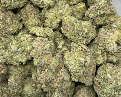 ELECTRIC BLUE (EXOTIC DEAL) - Image 3