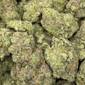 ELECTRIC BLUE (EXOTIC DEAL) - Image 2