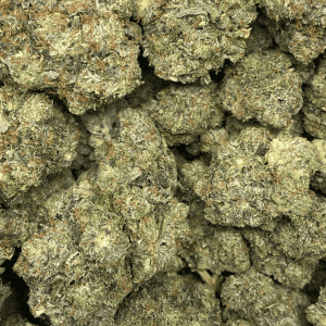 EMERGENCY PINK (GAS) - Image 2