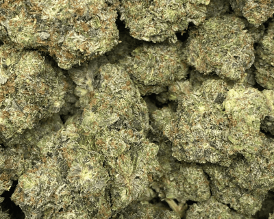 EMERGENCY PINK (GAS) - Image 2