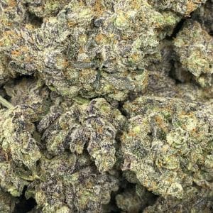 GARY PAYTON (EXOTIC DEAL) - Image 2