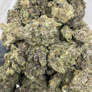 GARY PAYTON (EXOTIC DEAL) - Image 3