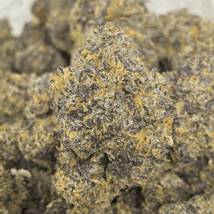 GELATO 33 LSO (TERPY VIBES) - Image 1