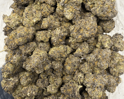 GELATO 33 LSO (TERPY VIBES) - Image 3