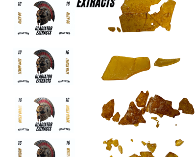 GLADIATOR EXTRACTS - PREMIUM SHATTER