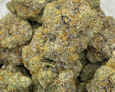 GORILLA GIRL SCOUT