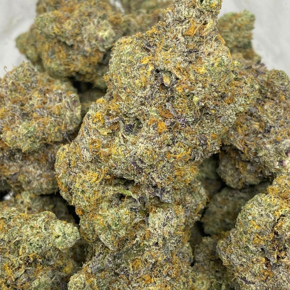 GORILLA GIRL SCOUT