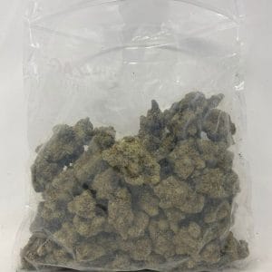 GORILLA GIRL SCOUT (EXOTIC DEAL) - Image 4