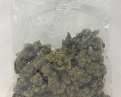 GORILLA GIRL SCOUT (EXOTIC DEAL) - Image 4