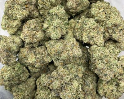 HOOD BABY (EXOTIC) - Image 3