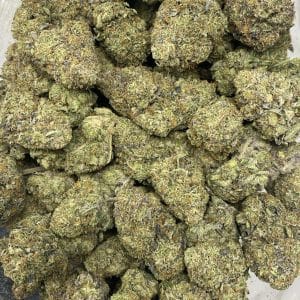 PLATINUM ROCKSTAR LSO (TERPY VIBES) - Image 2