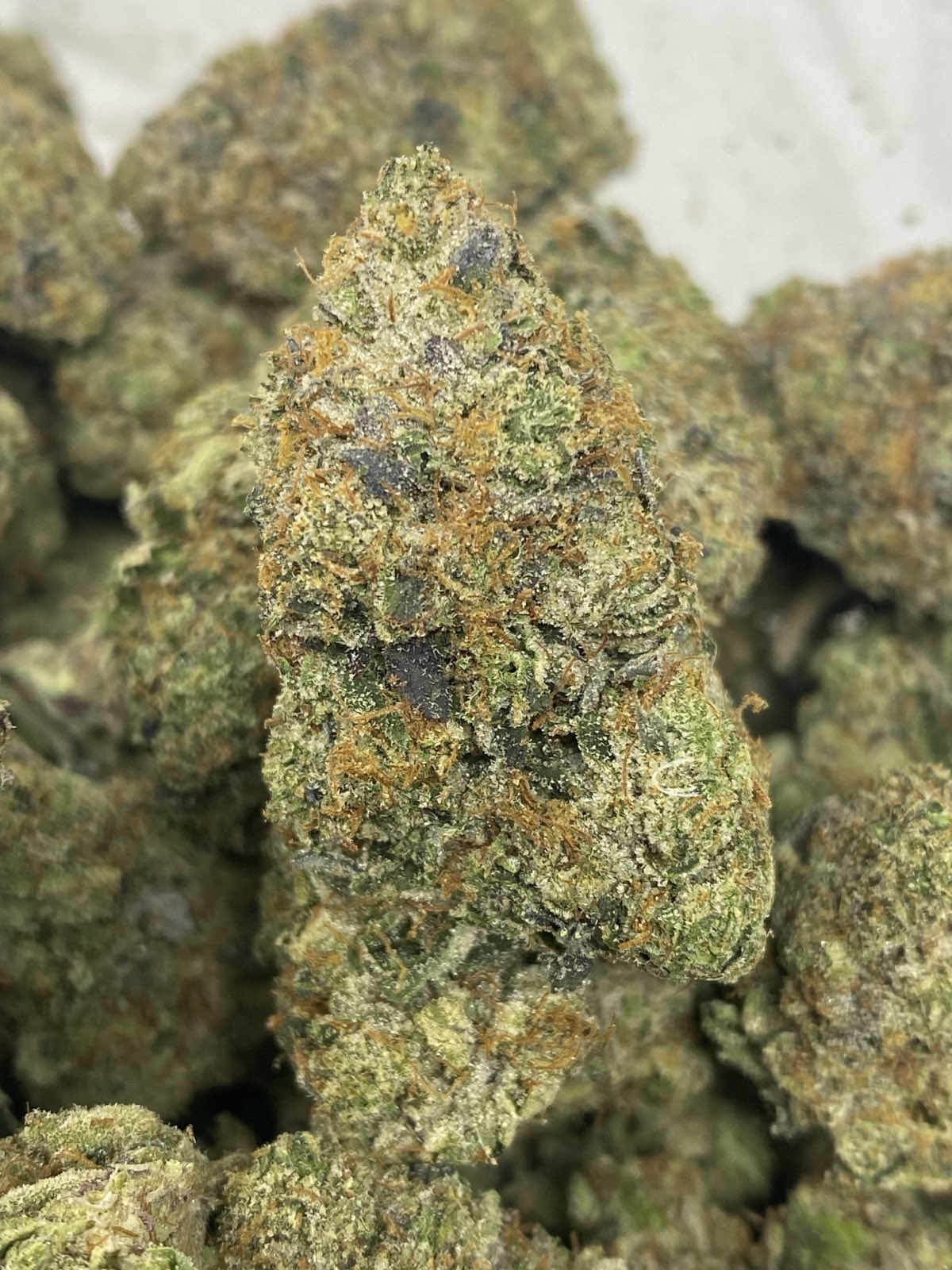 PLATINUM ROCKSTAR LSO (TERPY VIBES)