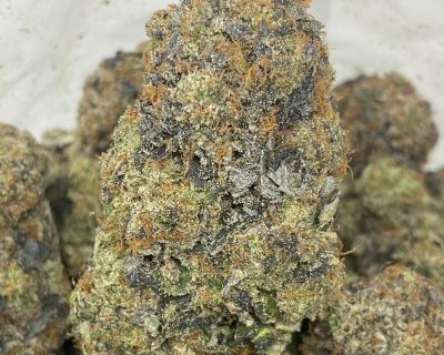 STICKY CHAPO LSO (TERPY VIBES) - Image 1