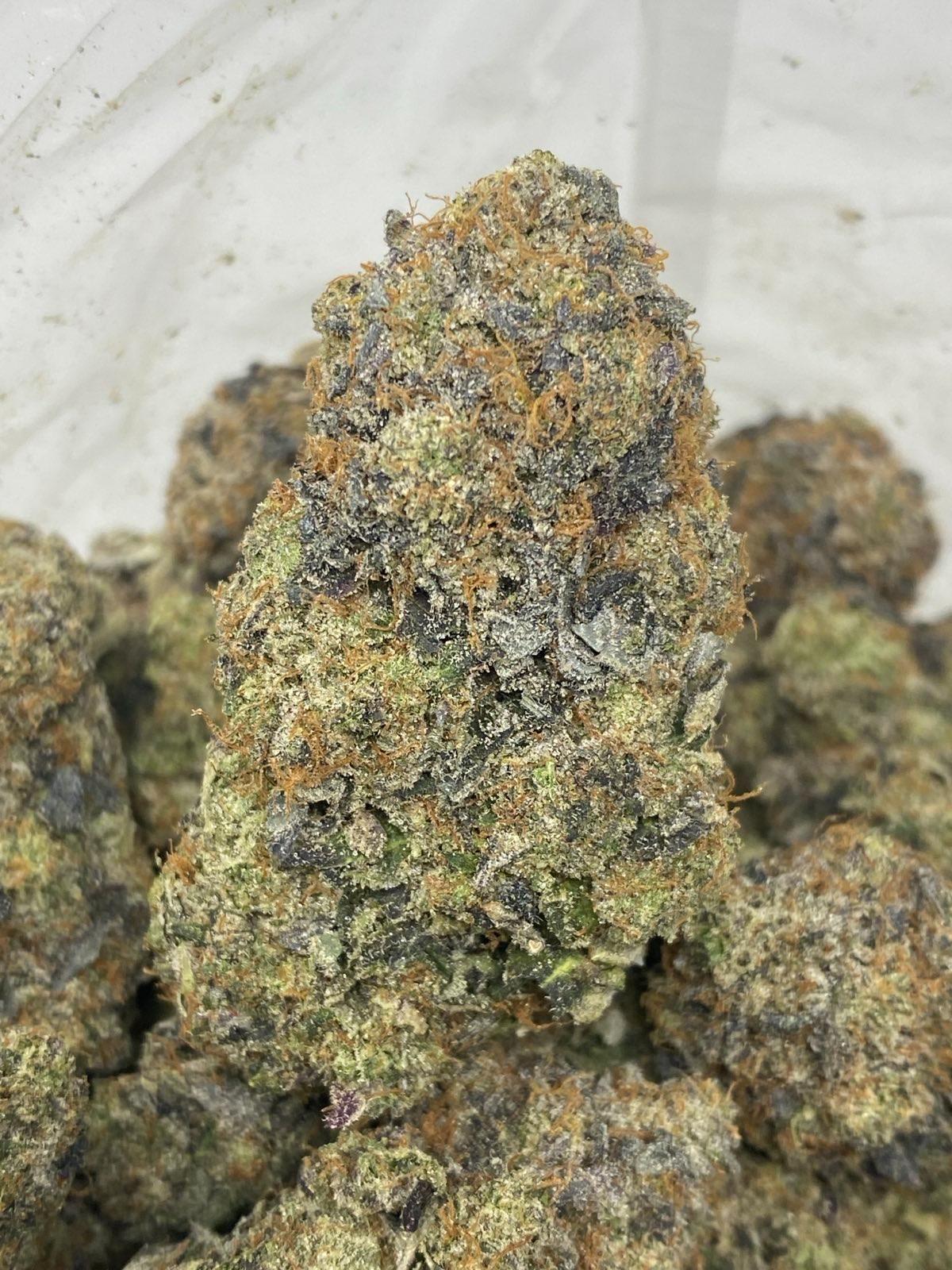 STICKY CHAPO LSO (TERPY VIBES)