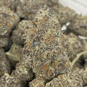 TROPICANNA COOKIES LSO (TERPY VIBES) - Image 1