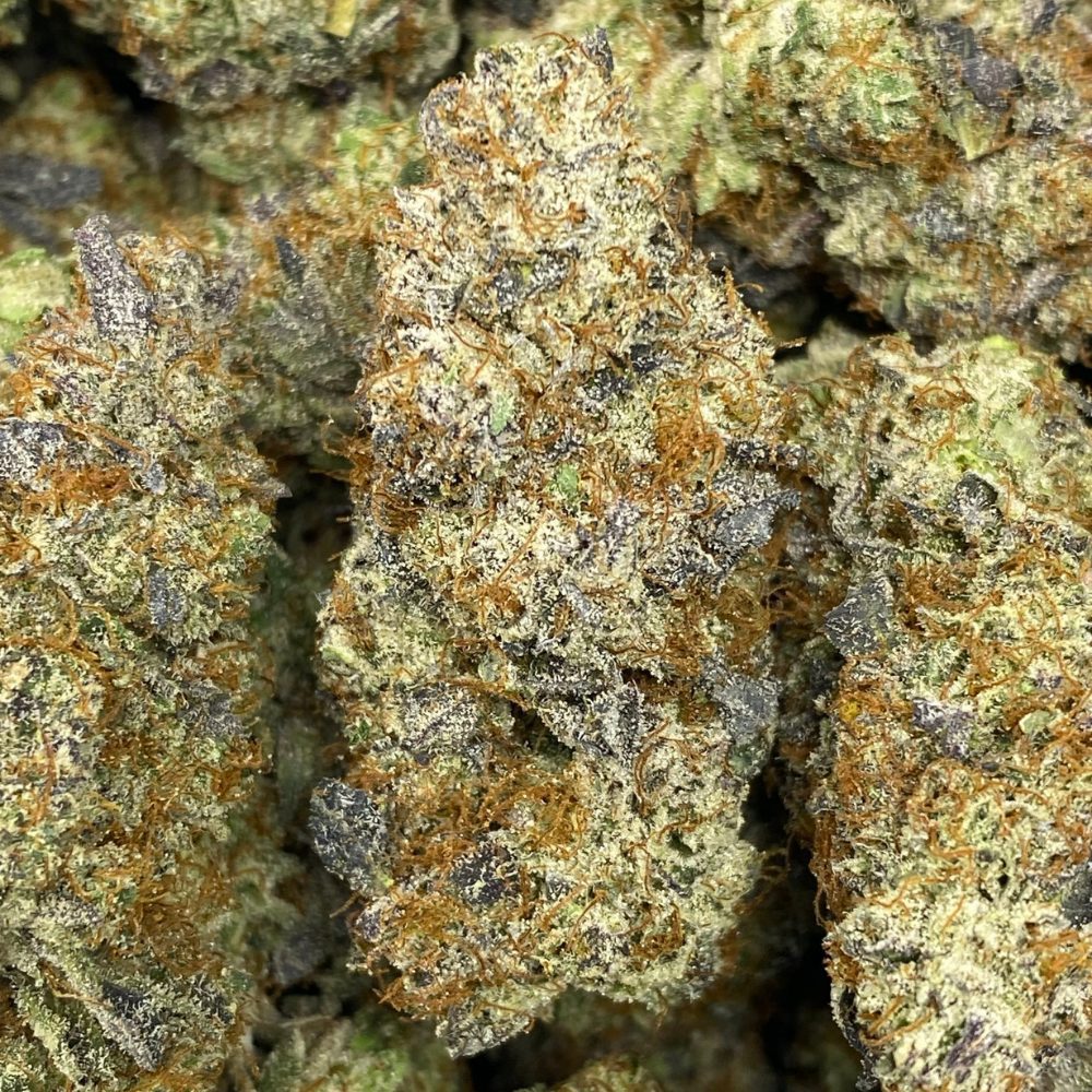 Key Lime Pie