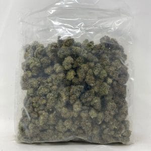 KEY LIME PIE (EXOTIC) - Image 4