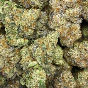 KEY LIME PIE (EXOTIC) - Image 2