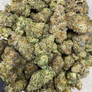 KEY LIME PIE (EXOTIC) - Image 3