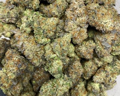 KEY LIME PIE (EXOTIC) - Image 3
