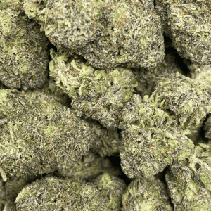 KHALIFA MINTZ (EXOTIC) - Image 2