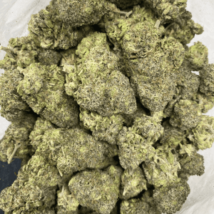 KHALIFA MINTZ (EXOTIC) - Image 3