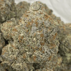 MARSHMELLOW OREOZ (EXOTIC) - Image 1