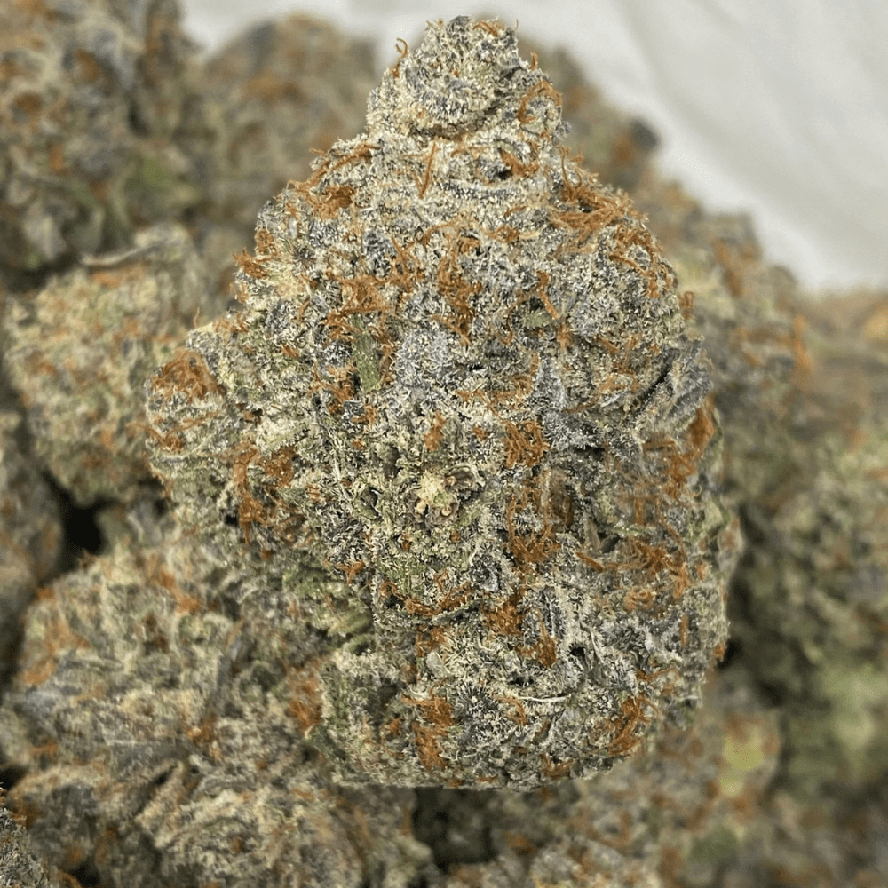 MARSHMELLOW OREOZ (EXOTIC)