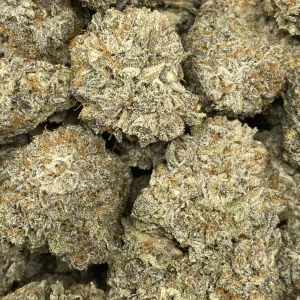 MARSHMELLOW OREOZ (EXOTIC) - Image 2