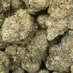 PAPAYA POWER (EXOTIC) - Image 2