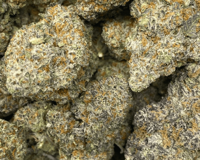 PAPAYA POWER (EXOTIC) - Image 2