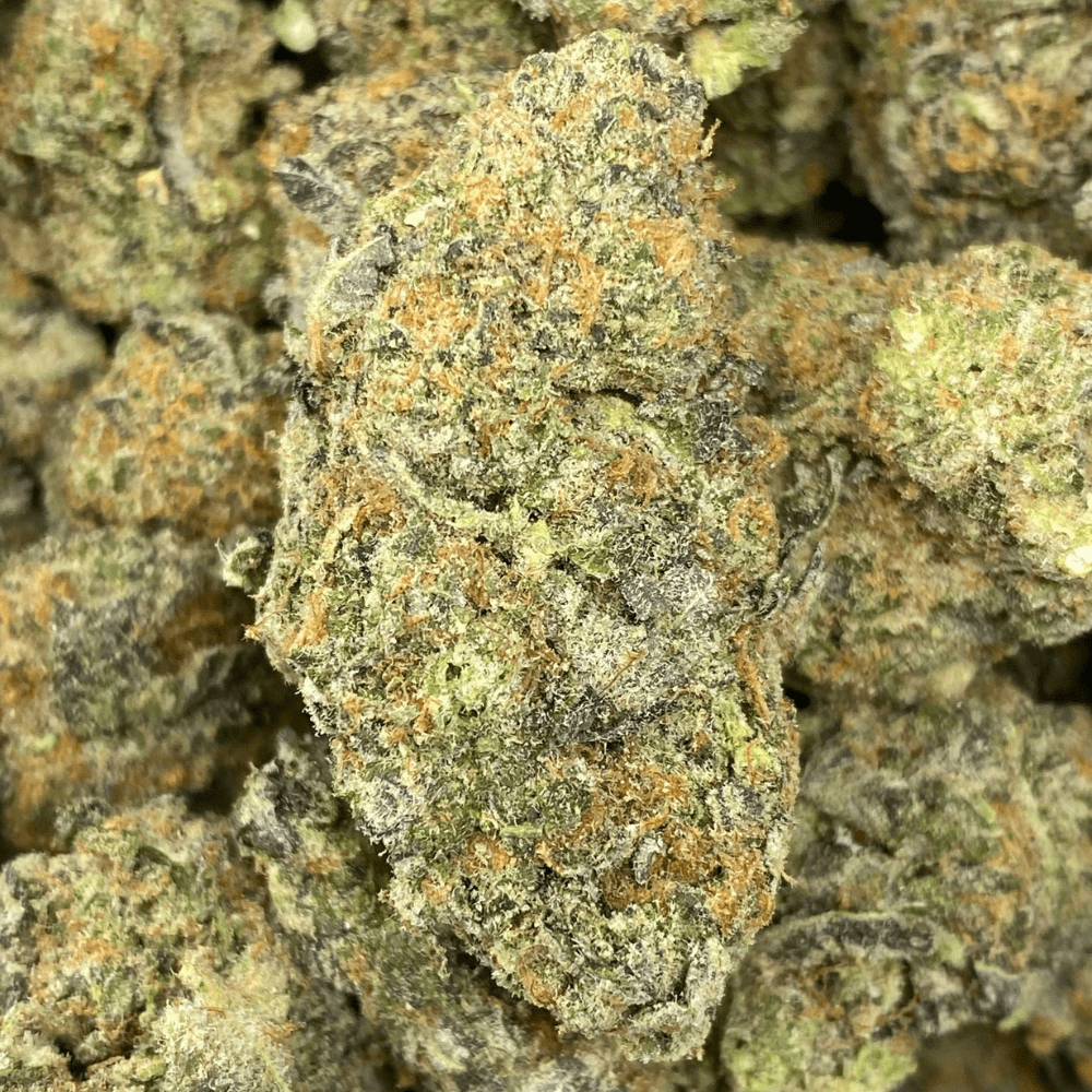 MEAT BREATH (EXOTIC)