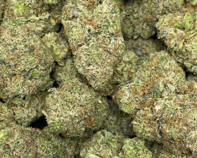 PINK GAS (MEGA GAS) - Image 2