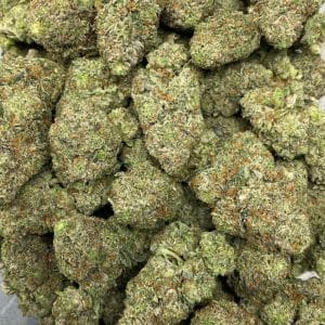 PINK GAS (MEGA GAS) - Image 3