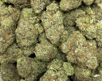 PINK GAS (MEGA GAS) - Image 3
