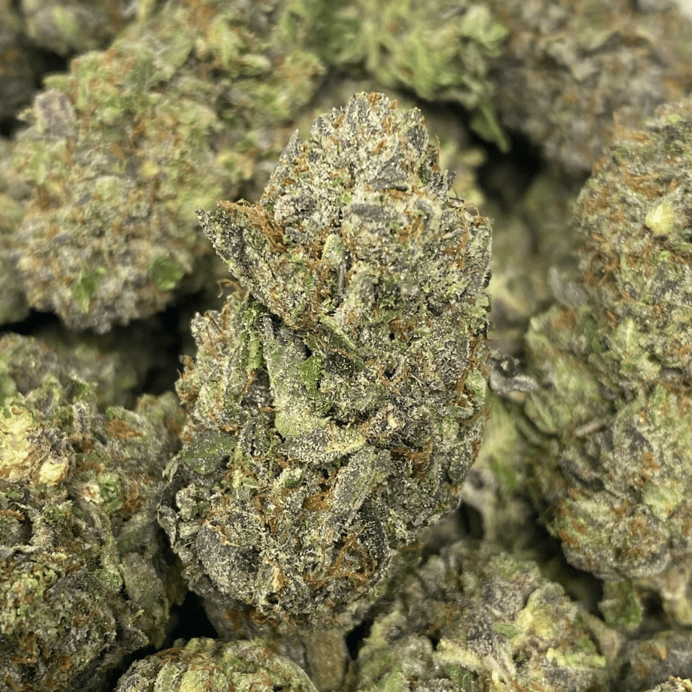 Pink Kush (3) PINK KUSH