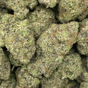 PINK SUPER GLUE (MEGA GAS) - Image 2