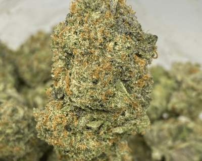 PLATINUM PINK