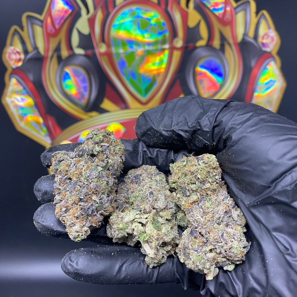 STICKY PINE LSO (TERPY VIBES)