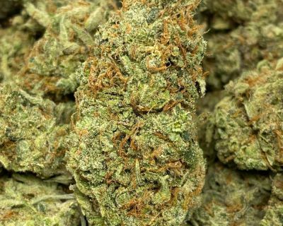 Super Lemon Haze