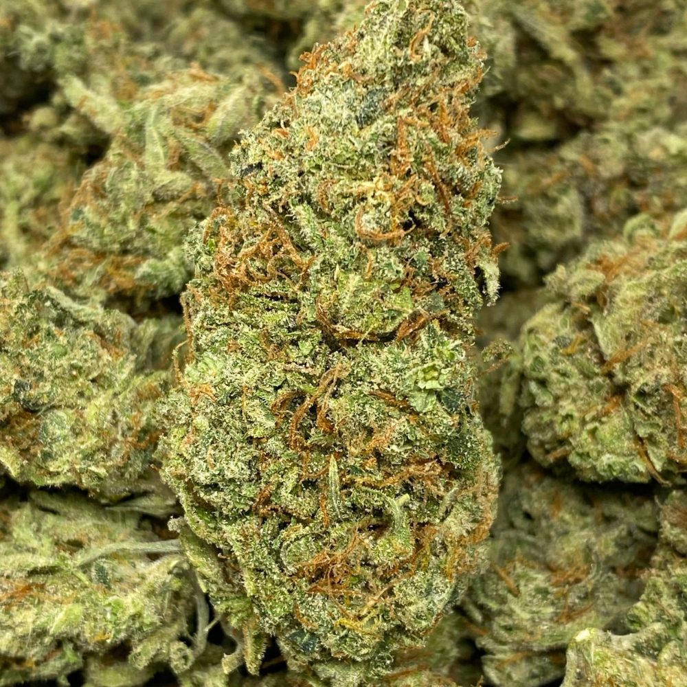 Super Lemon Haze