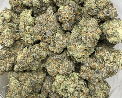 FORUM CUT COOKIES (EXOTIC) - Image 3